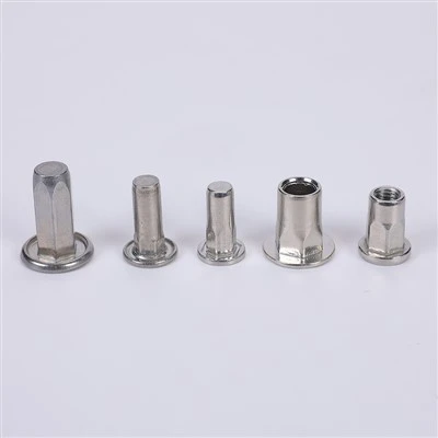 Dadi in acciaio inox 316